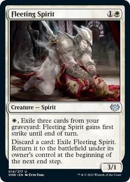 Fleeting Spirit U014