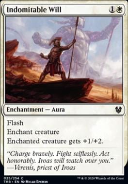 Indomitable Will C025