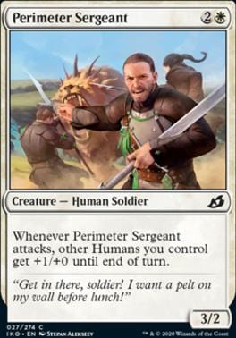 Perimeter Sergeant C027