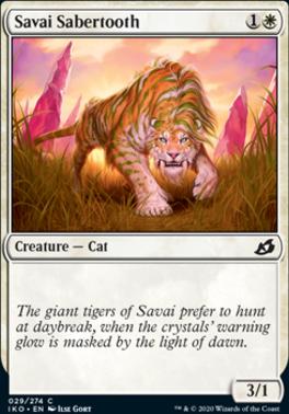 Savai Sabertooth C029