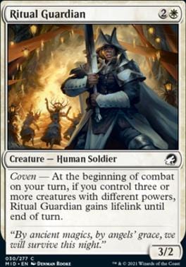 Ritual Guardian C030