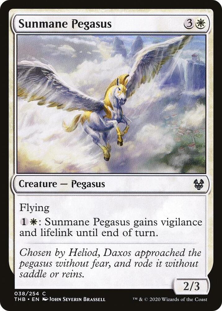 Sunmane PegasusC038