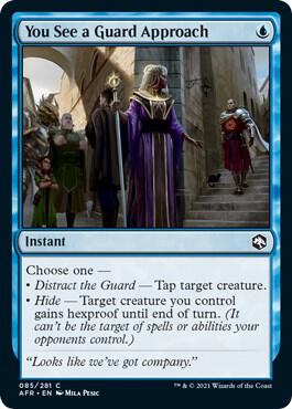 You See a Guard Approach C085