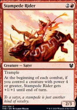 Stampede Rider C 155