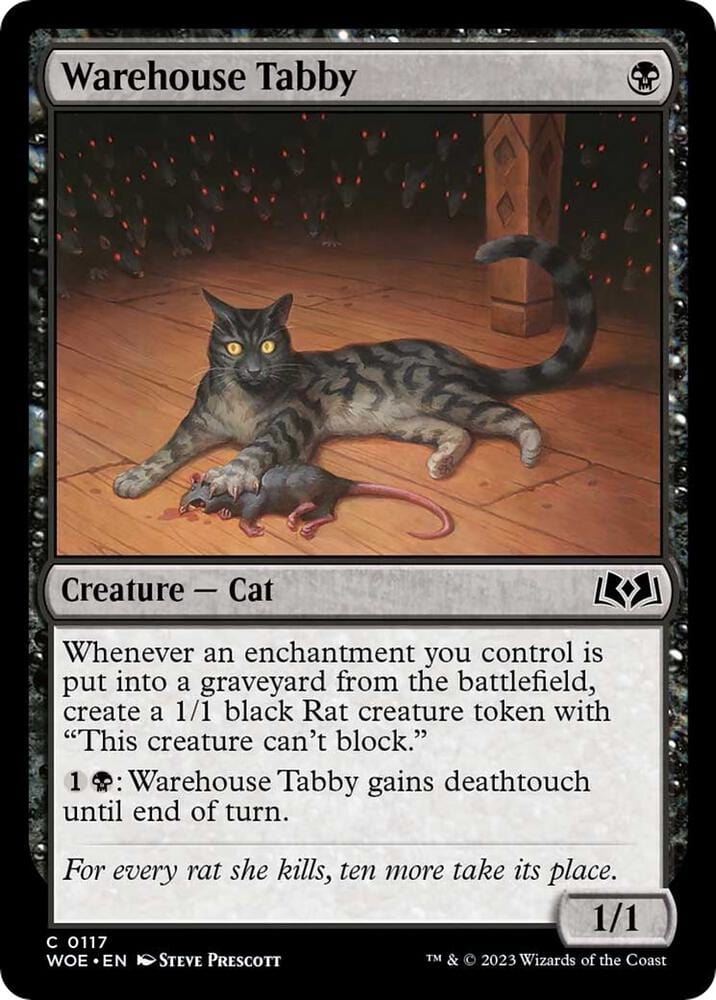 Warehouse Tabby C0117