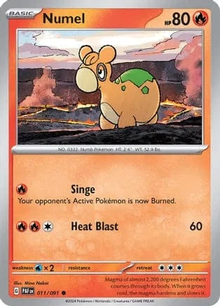 Numel 011/091