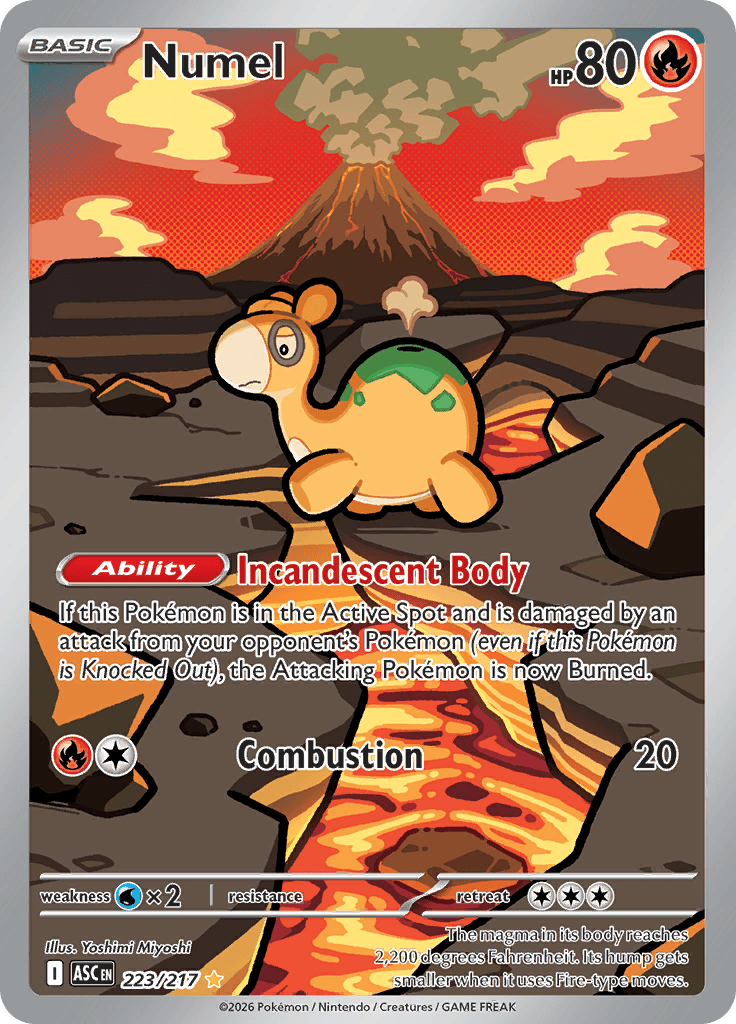 Numel - 223/217