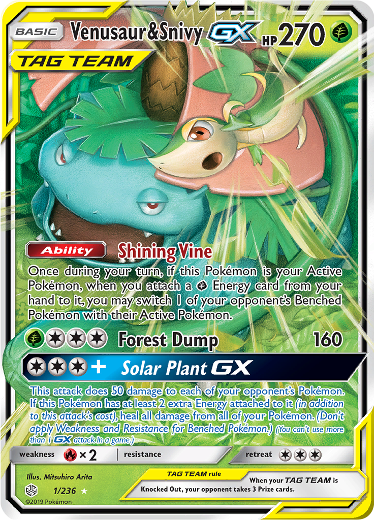 Venusaur & Snivy GX 1/236