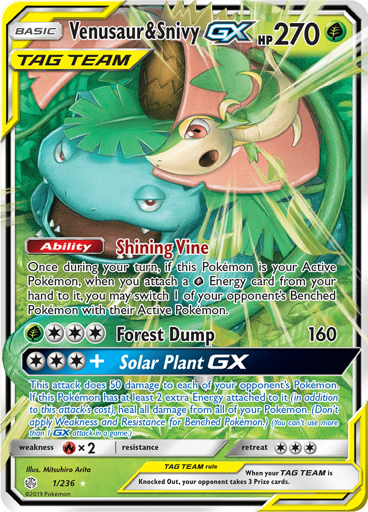 Venusaur & Snivy GX 1/236
