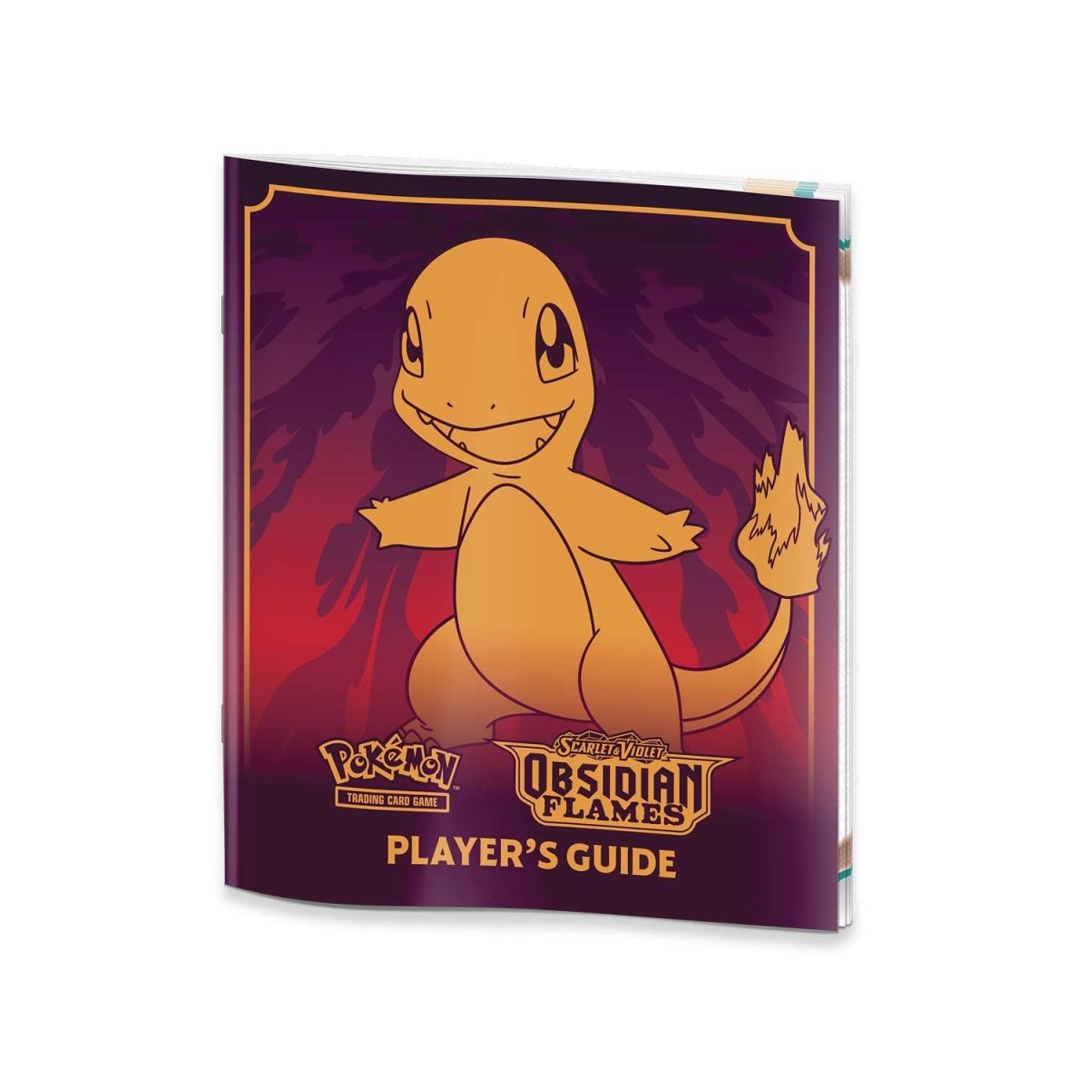 Elite Trainer Box Obsidian Flames