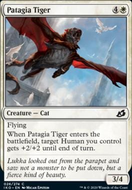 Patagia Tiger C026