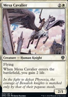 Mesa Cavalier C026
