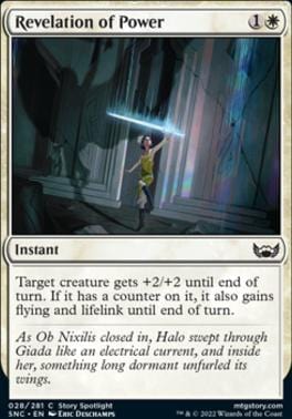Revelation of Power C028