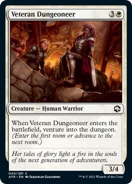 Veteran Dungeoneer C040