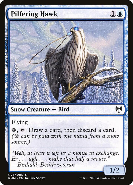 Pilfering Hawk C071