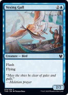 Vexing Gull C 079