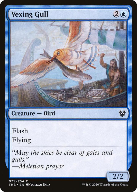 Vexing Gull C079