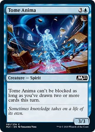 Tome Anima C081