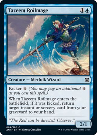 Tazeem Roilmage C084