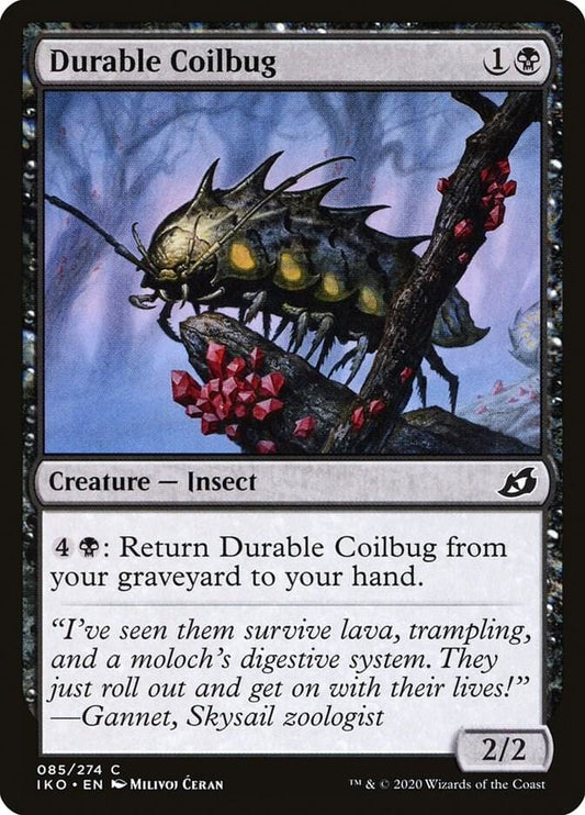 Durable Coilbug C085