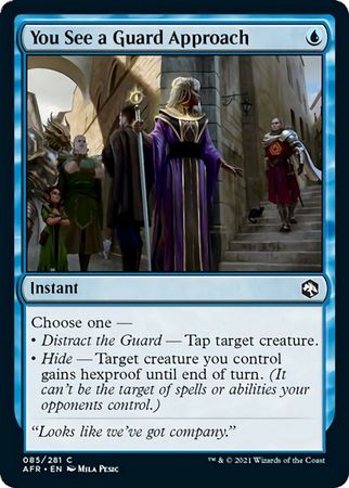 You See a Guard Approach C085