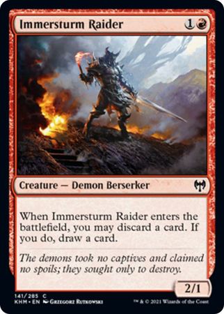 Immersturm Raider C141