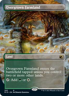 Overgrown Farmland (Borderless) R283