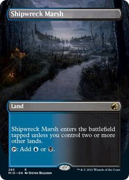 Shipwreck Marsh (Borderless) R285
