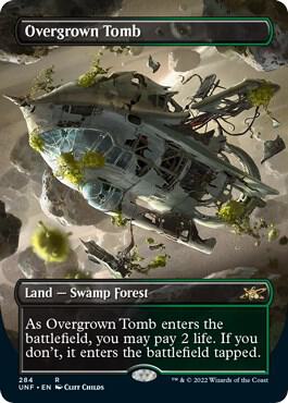 Overgrown Tomb (Borderless) R535