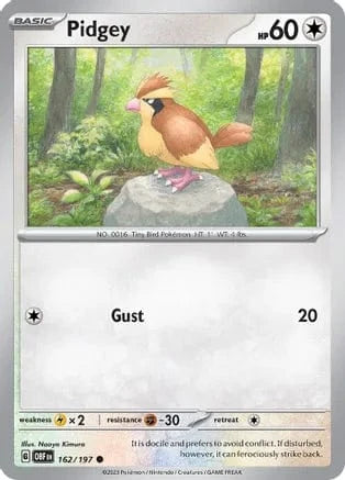 Pidgey 162/197
