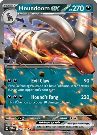 Houndoom Ex 134/197
