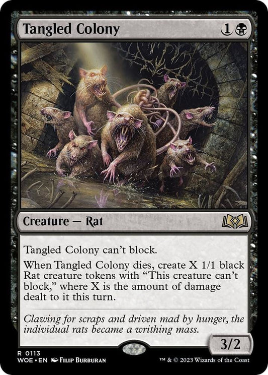 Tangled Colony R113