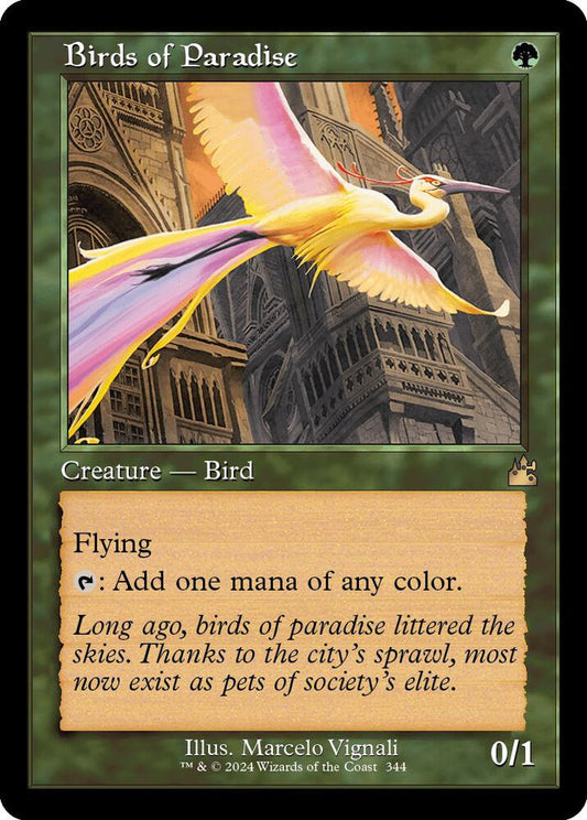 Birds of Paradise (Retro Frame) R344