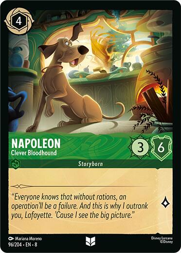 Napoleon 96/204