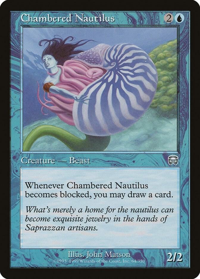 Chambered Nautilus U64