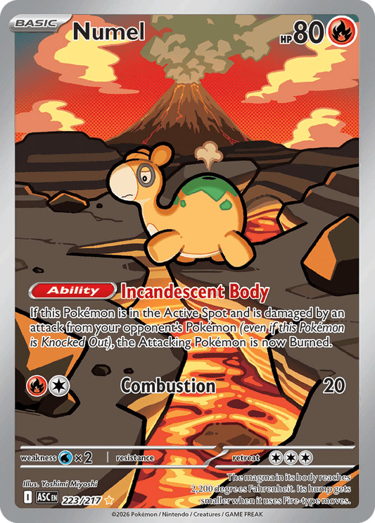 Numel - 223/217