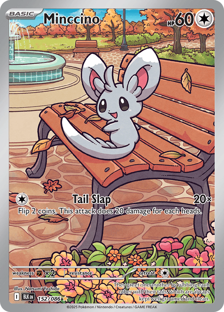 Minccino - 152/086