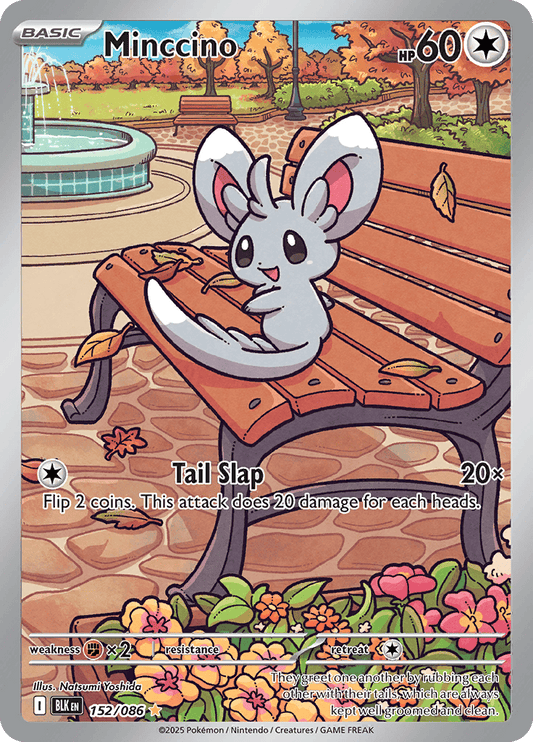 Minccino - 152/086