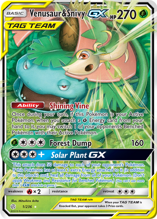 Venusaur & Snivy GX 1/236