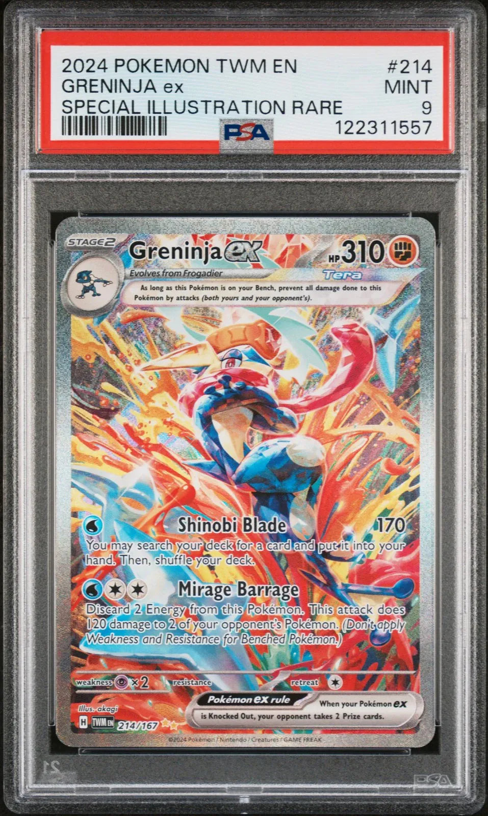 Greninja Ex #214 (Psa 9)